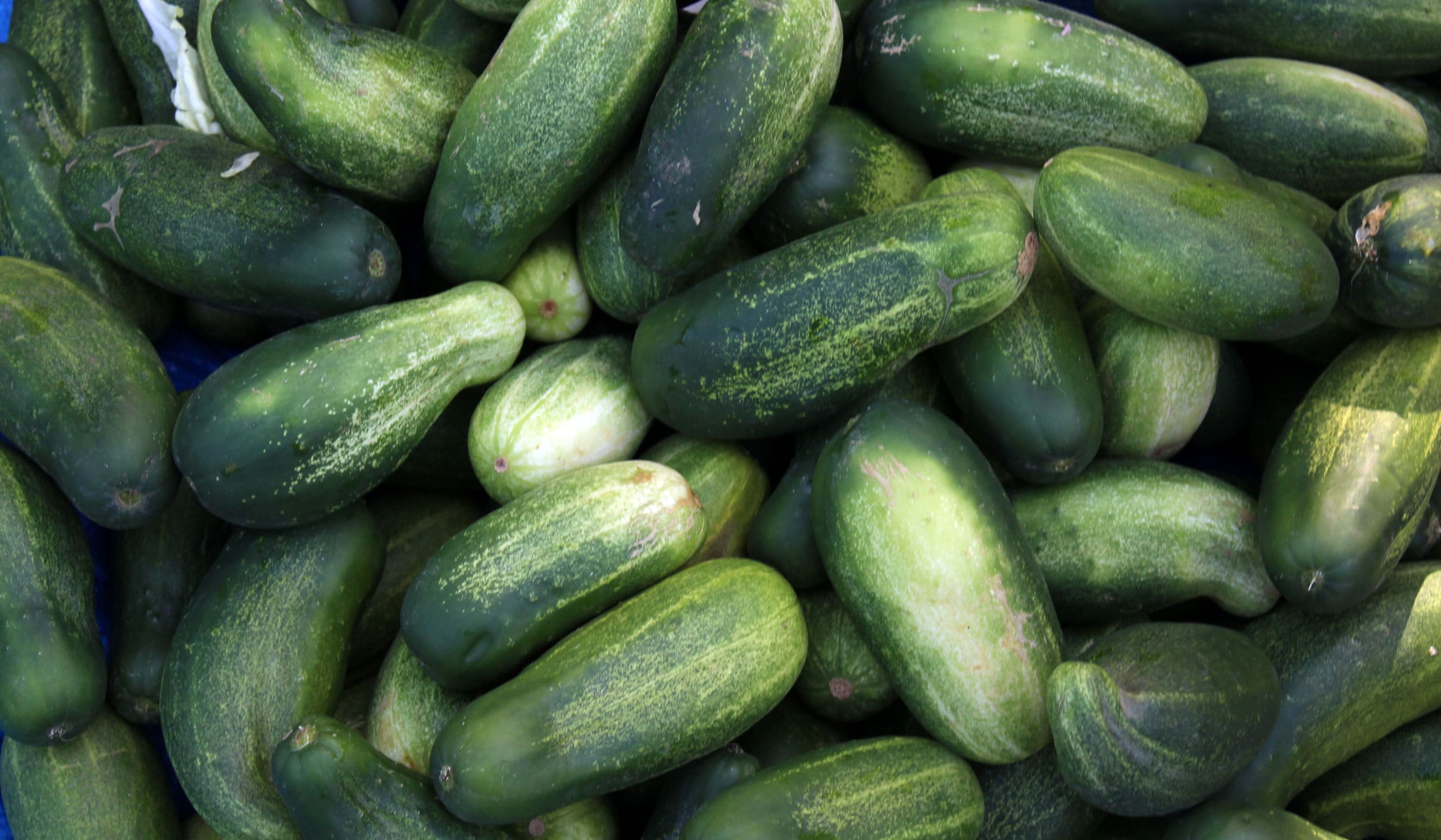 Cucumbers for sale at Fort-de-France market