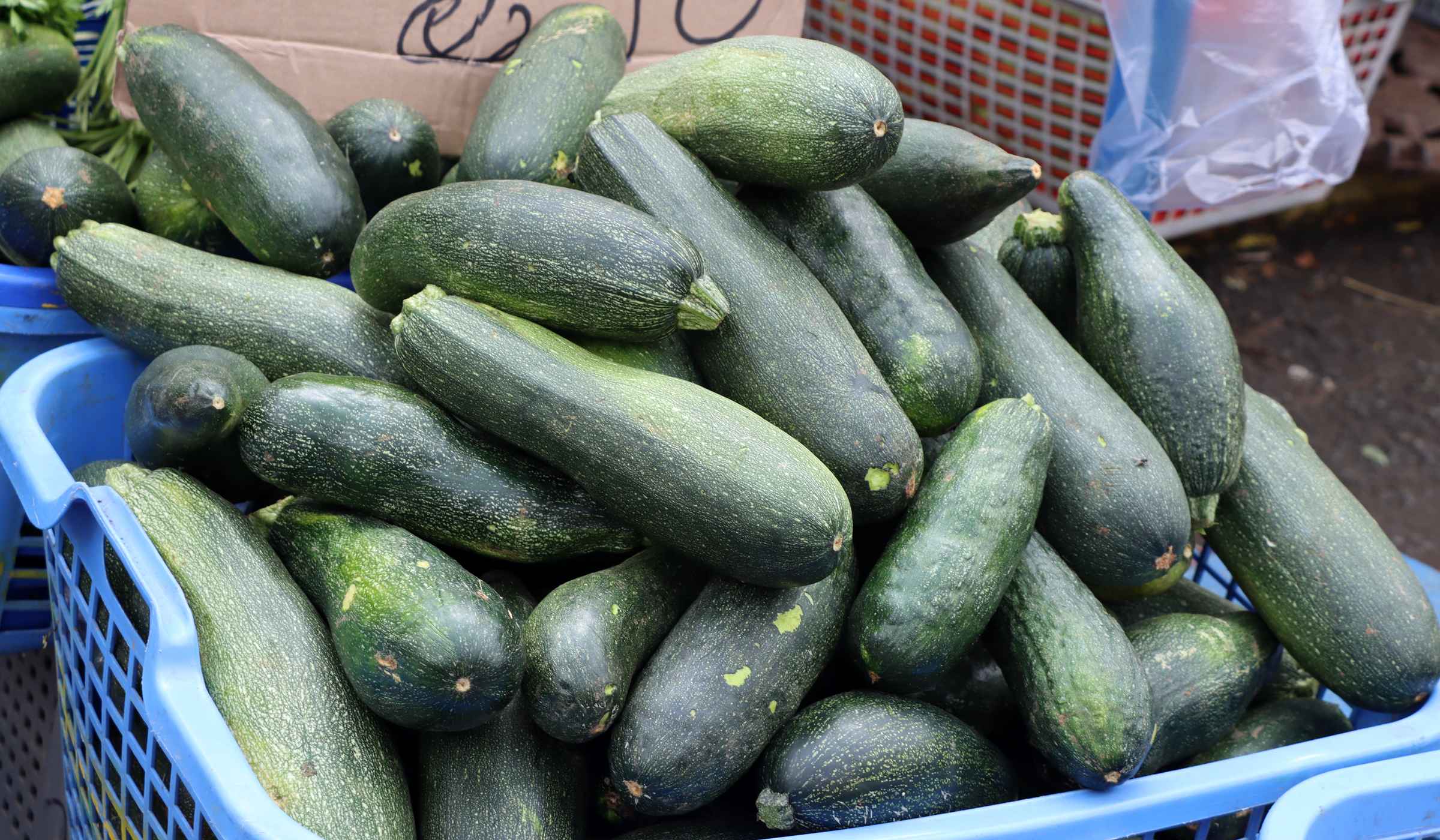 Zucchini for sale at Fort-de-France market