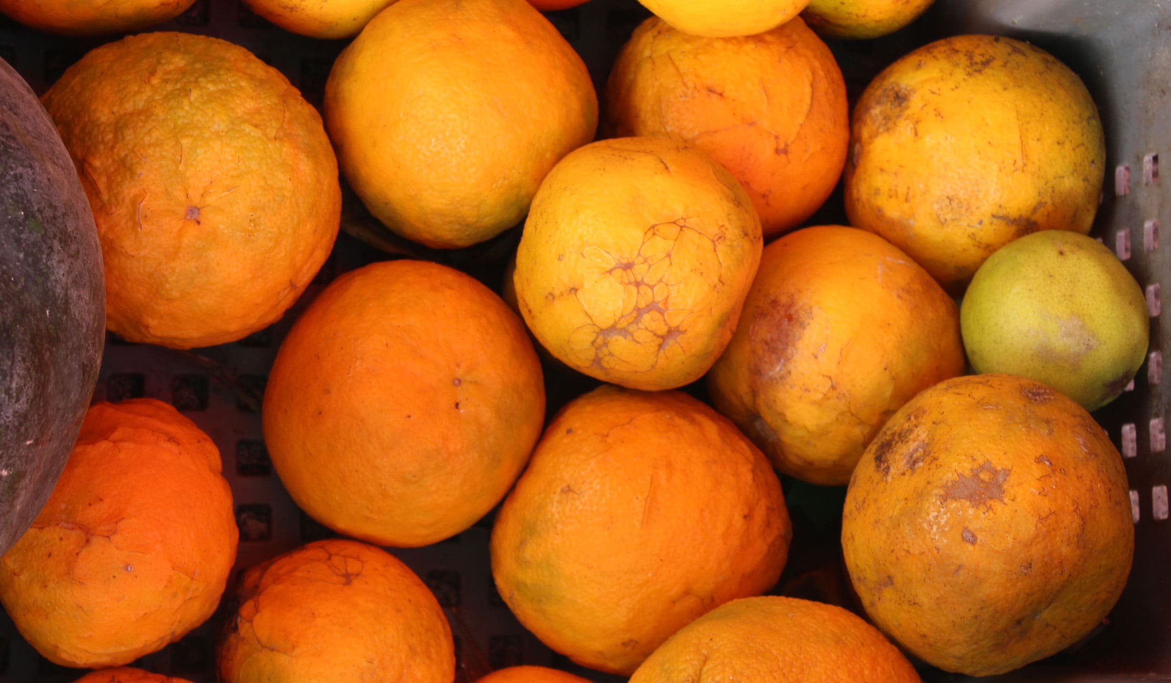 Orange sour oranges for sale at Fort-de-France market