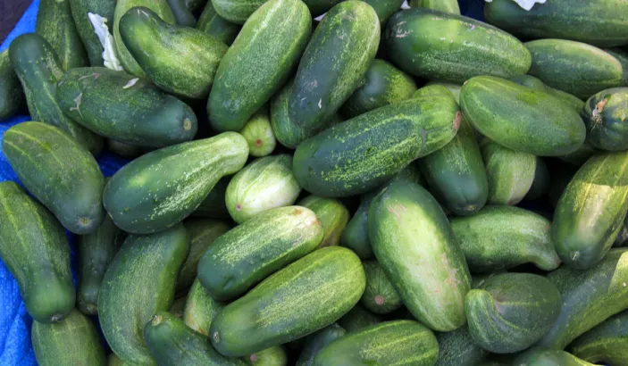 Concombres en vente au marché de Fort-de-France
