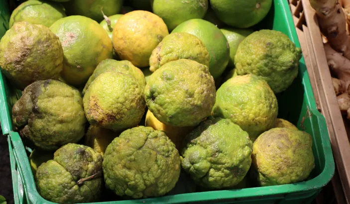 Green sour oranges