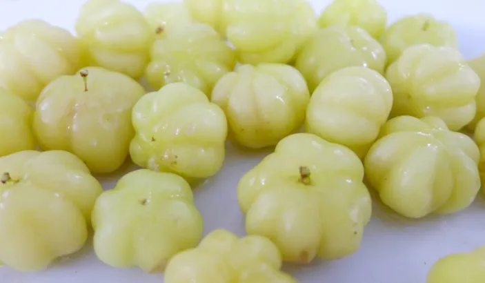 Surettes
