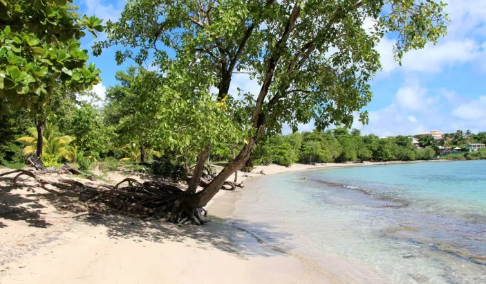 Anse Mabouyas