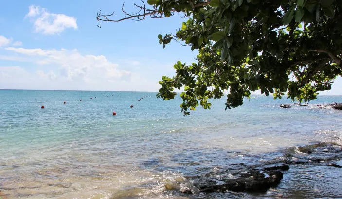 Anse Mabouyas