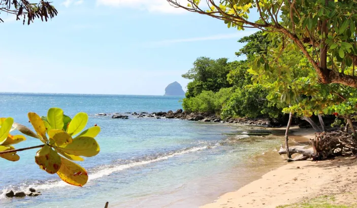 Anse Mabouyas