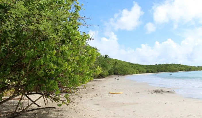 Anse Meunier