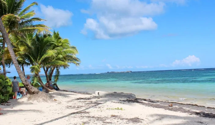 Anse Michel