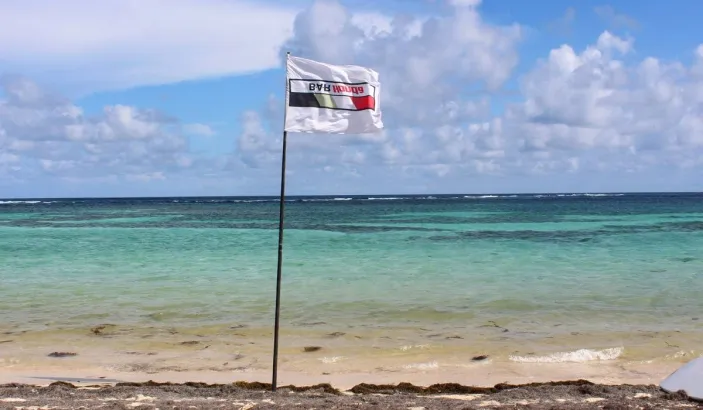 Anse Michel
