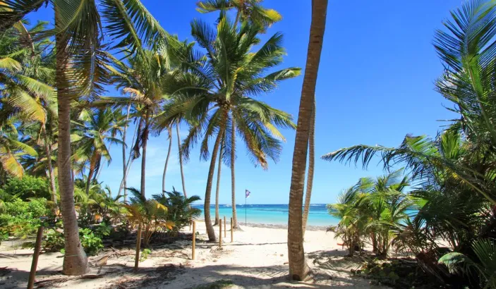 Anse Michel