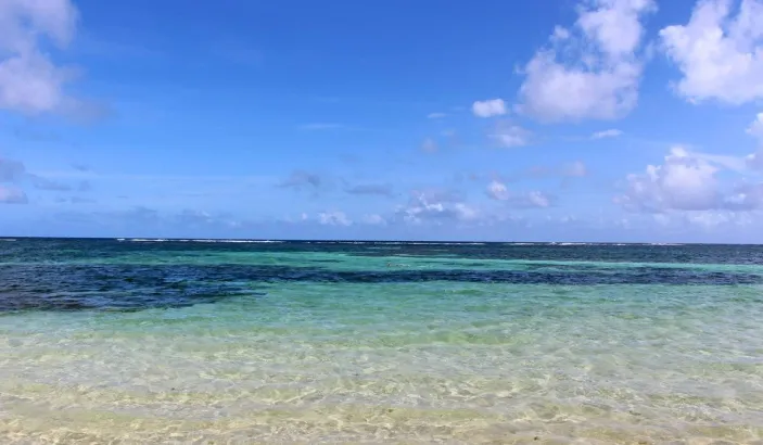 Anse Michel