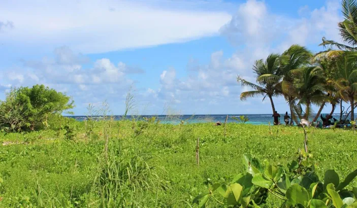 Anse Trabaud