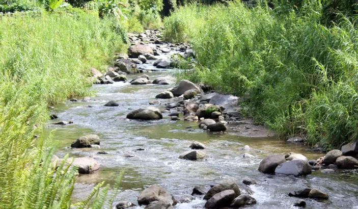 La Grande Rivière