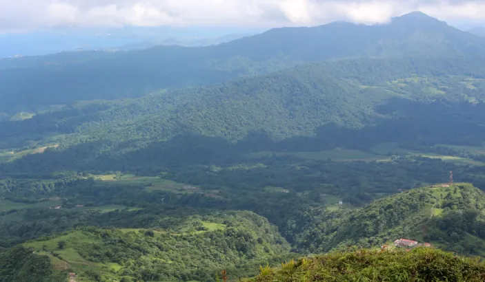 Mount Pelee