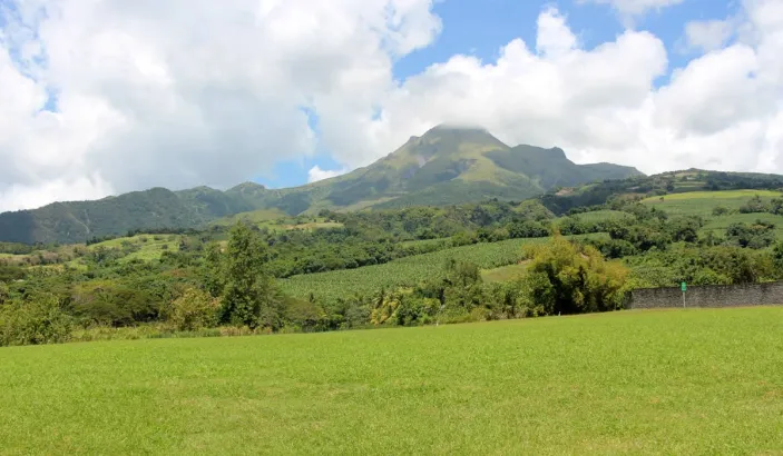 Mount Pelee