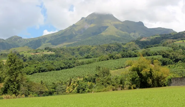 Mount Pelee