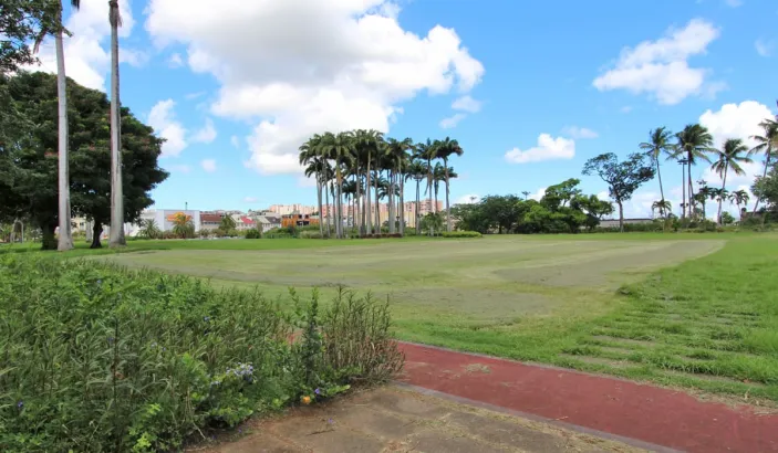 Savane Park