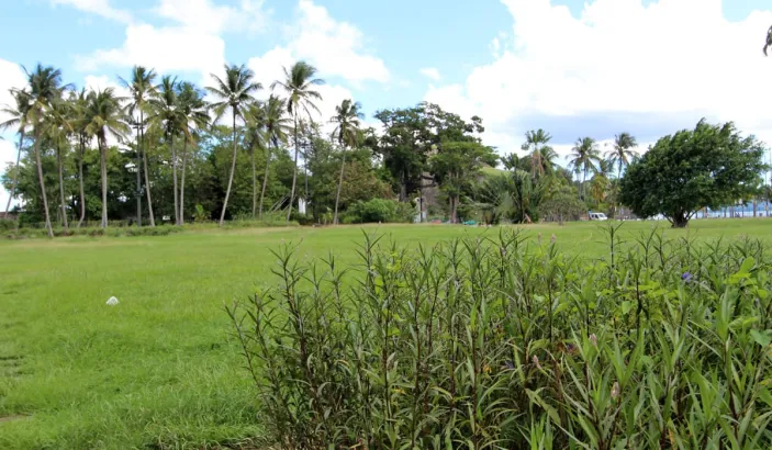 Savane Park