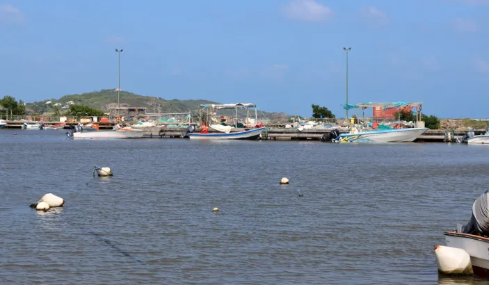 Bateaux de pêche