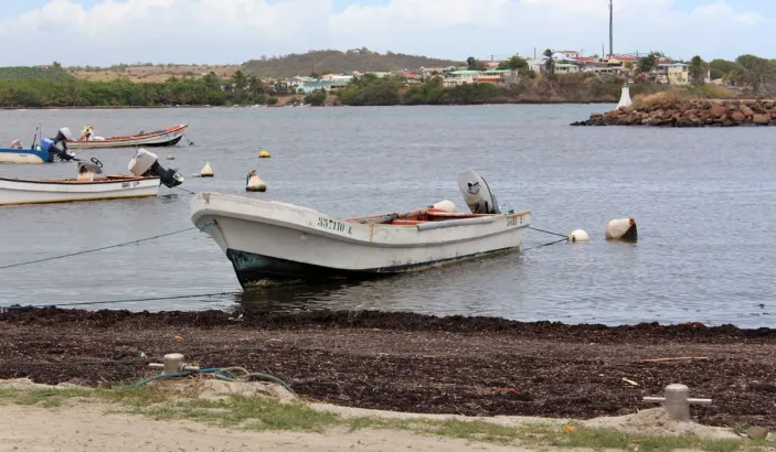 Port de pêche