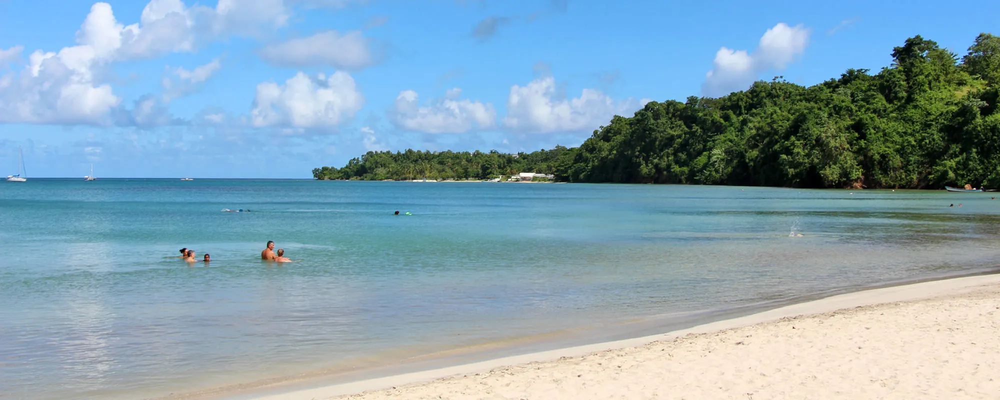 Anse des Raisiniers
