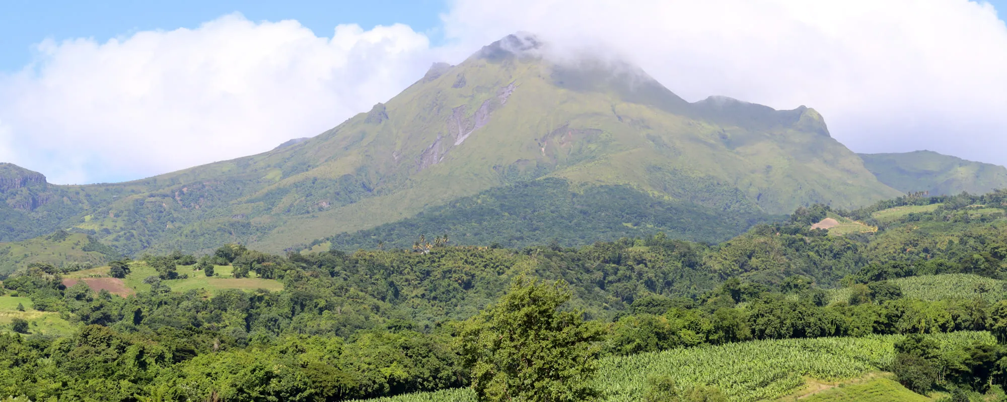 Mount Pelée