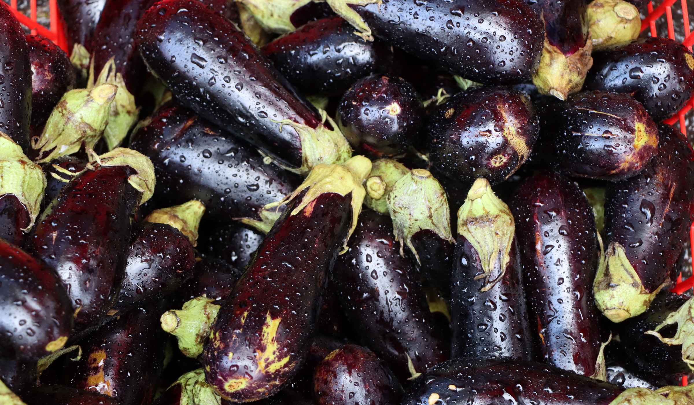 Eggplants for sale at Fort-de-France market