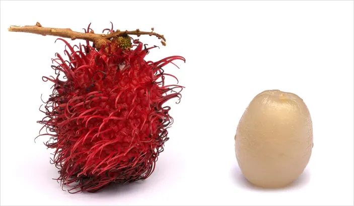 Rambutan peel and flesh