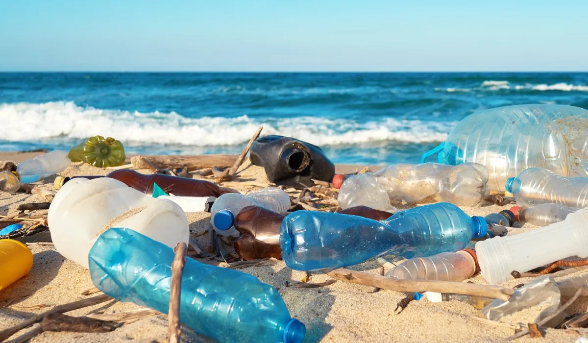 Trash on a beach