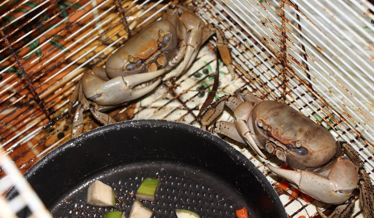 Crabs in a cage